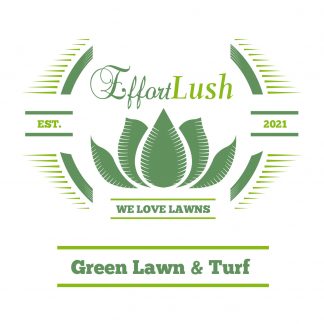 Green Lawn & Turf