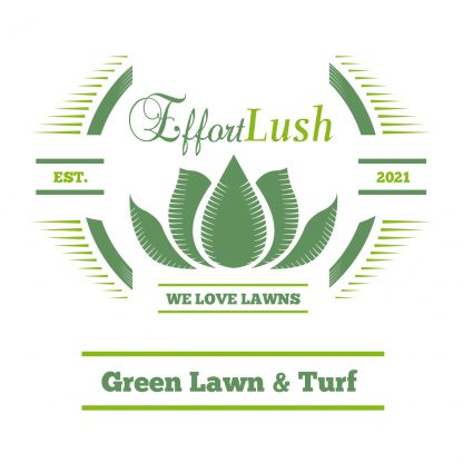 Green Lawn & Turf